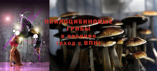 кристаллы Богданович