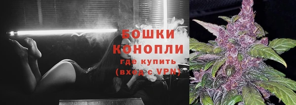 стафф Богородск